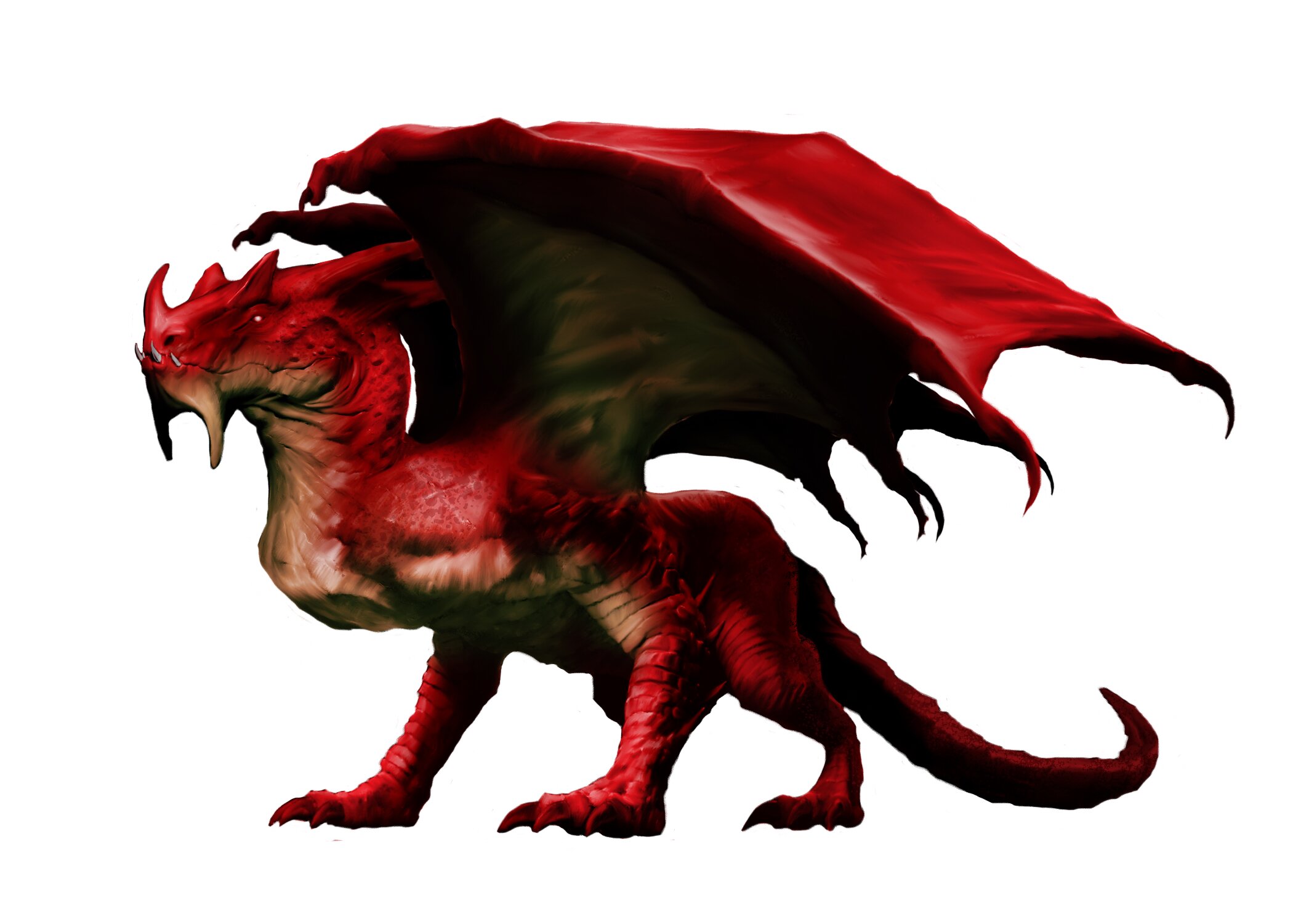 reddragon reddragon