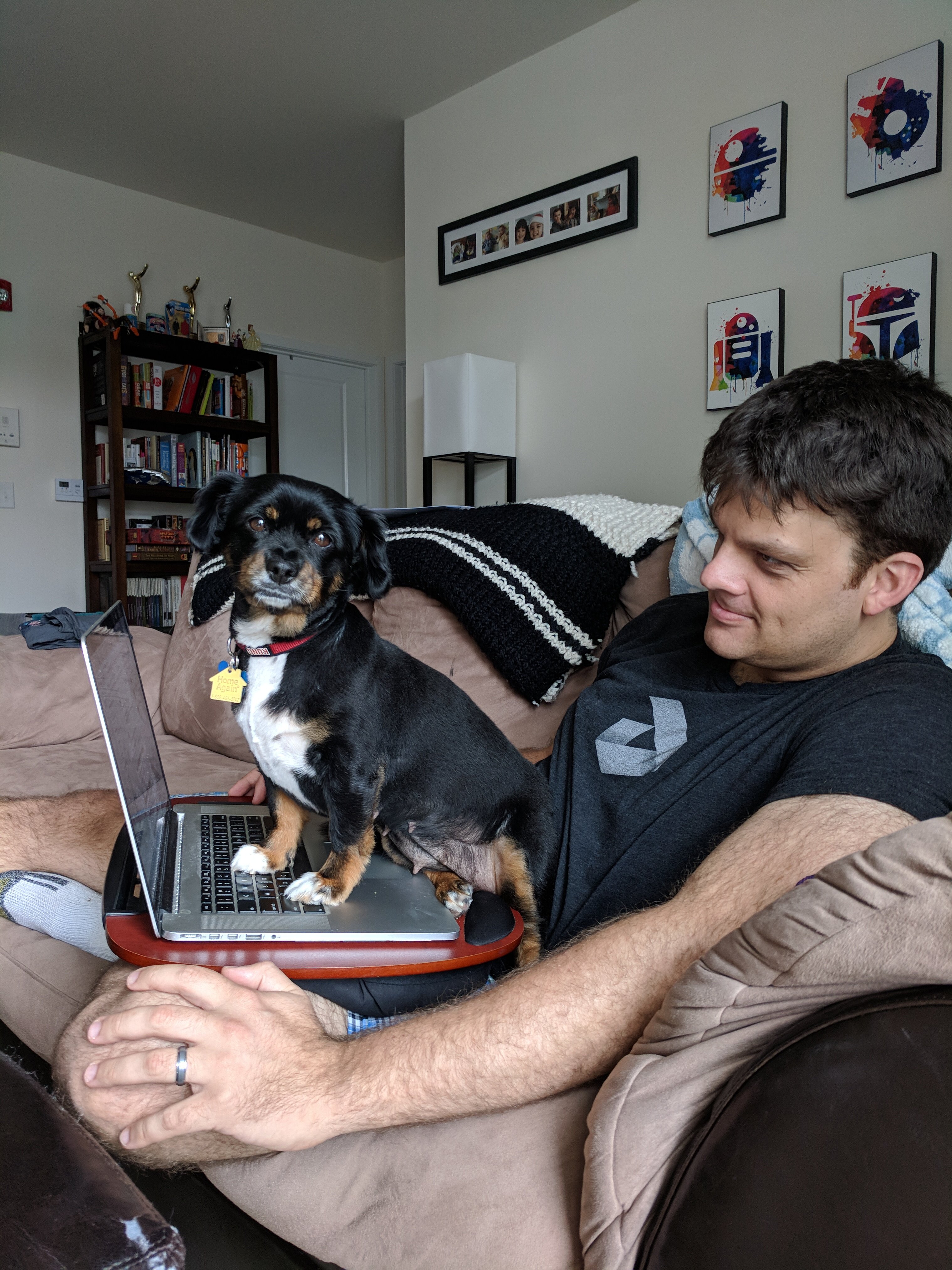 IMG_20180723_164913 I sit at my computer with my small dog, Lilo, standing on the keyboard, blocking me from working
